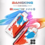 Bang King 60K Puffs Ice Cool – Visokokakovostna disposable e-cigareta z 60.000 potegi, Quad Mesh in LED zaslonom