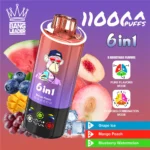 Bang Leader 110K 6-in-1 Disposable Vape – 110.000 potegov, nastavljivi okusi, hitra Type-C baterija - slika 6
