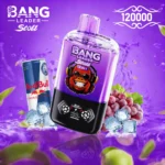 Bang Leader Stoll 120K Puffs 2-v-1 Vape – Dual Flavor, 120.000 potegov, LED zaslon, nastavljiv airflow - slika 10