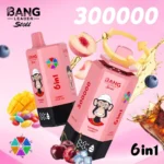Bang Leader Stoll 300K Puffs Vape – 6-v-1 Flavor System, Ultra High Capacity, Mesh Coil, Type-C Polnjenje, OEM/ODM združljiv - slika 9