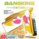 Bang King 60K Puffs Ice Cool – Visokokakovostna disposable e cigareta z 60.000 potegi, Quad Mesh in LED zaslonom
