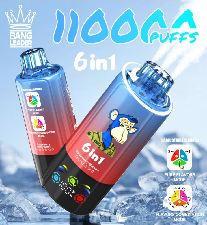 bang-leader-110k-6-in-1-disposable-vape-110.000-potegov-nastavljivi-okusi-hitra-type-c-baterija-13