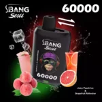Bang Leader 60K Disposable Vape – 60.000 potegov, dvojni okusi, LED zaslon, polnilna baterija