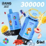 Bang Leader Stoll 300K Puffs Vape – 6 v 1 Flavor System, Ultra High Capacity, Mesh Coil, Type C Polnjenje, OEM/ODM združljiv