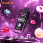MerryMi Panda Mecha Pro disposable vape product photo 20